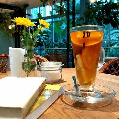 Kawiarnia Palmiarnia