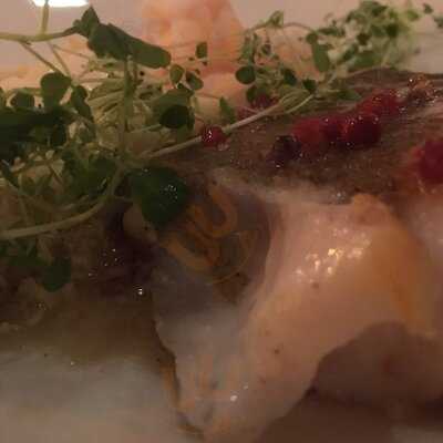 Gard Taste Scandinavian Gdynia