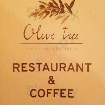 Olive Tree