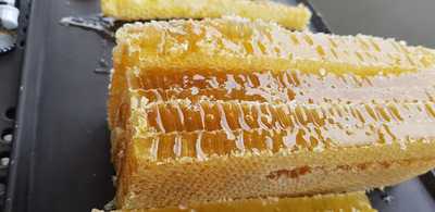 Strefa 321 By Mateusz Krecina