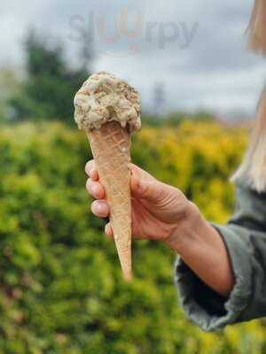 Lolodzik - Lody Dzikie Z Natury!