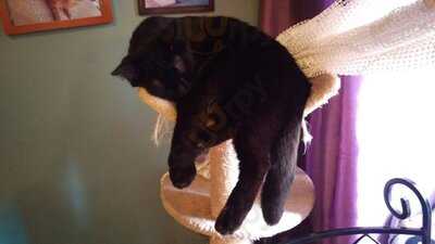 Herbaciarnia Kocie Oczy