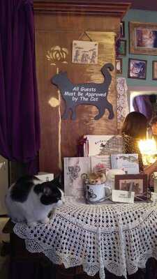 Herbaciarnia Kocie Oczy