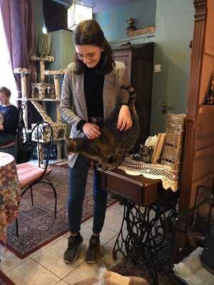 Herbaciarnia Kocie Oczy