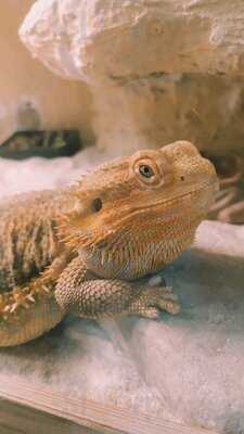 Kawiarnia W Podwyrku