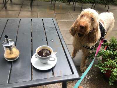 Tutto Bene Italian Bistro