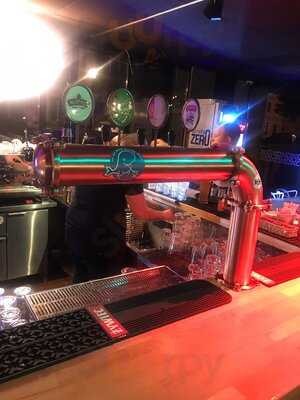 Akwarium - Skwer Hoovera