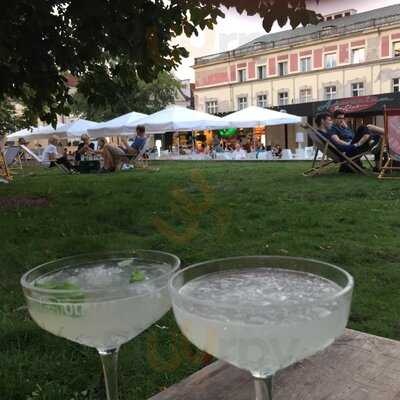 Akwarium - Skwer Hoovera