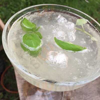 Akwarium - Skwer Hoovera