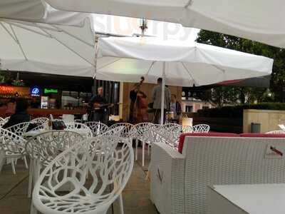 Akwarium - Skwer Hoovera