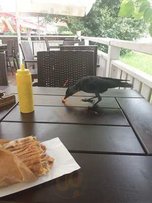 Amrit Oriental Food - Kondratowicza