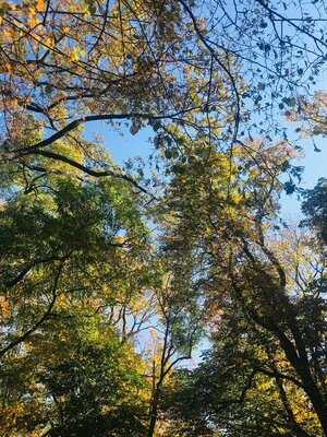 Niepodległa. Miejsce Spotkań