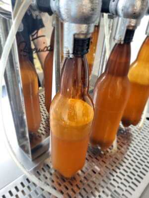 Piwo Świeże Z Browaru Tenczynek