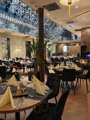 Kaktusy Kato Koncept Kulinarny