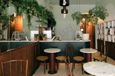 Moya Matcha Oleandrów