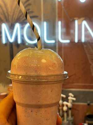 Mollinari Gelato