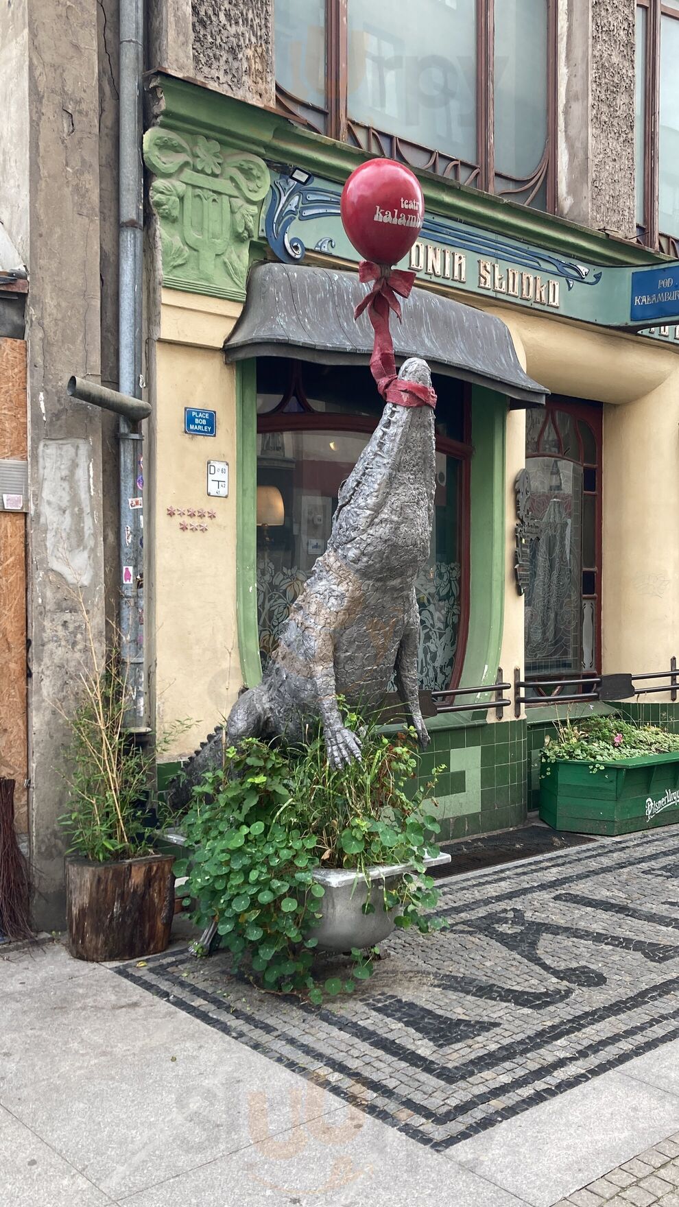 Kalaczakra Gallery & Coffee