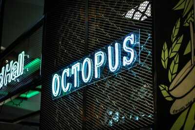 Octopus Food Delivery