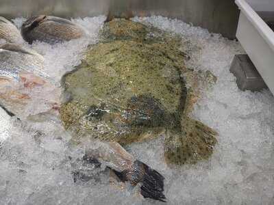 Clube Naval Praia Da Assenta