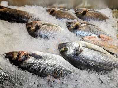 Clube Naval Praia Da Assenta