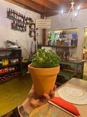 Restaurante Barriga Cheia