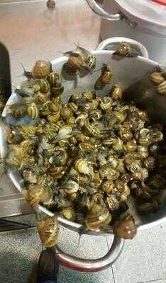 Samuel Dos Caracóis