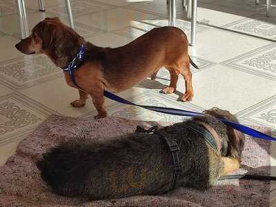 Marco's Bar & Bistro