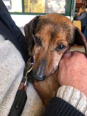 Marco's Bar & Bistro