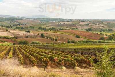 Restaurante Duas Quintas