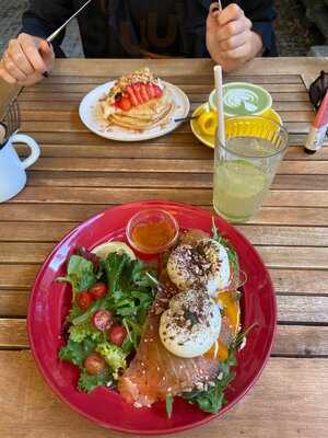 Nordico Coffee Shop - Specialty Coffee & Brunch