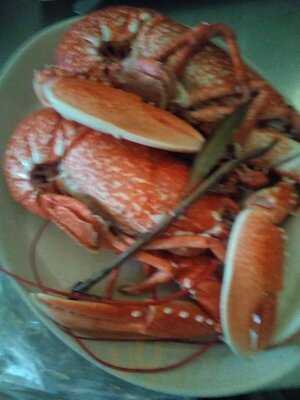 Restaurante A Colmeia