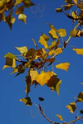 Nata Lisboa - Cascais