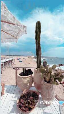 Guia Beach, Food & Drinks