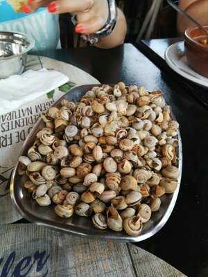 O Holandês Dos Caracois