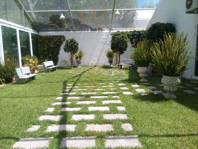 O Palácio Dos Antónios