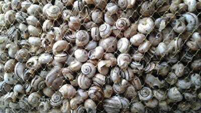 Sky Café Aeródromo