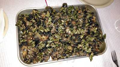 Pizzaria Garça Morena