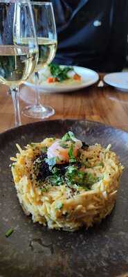 Terra Nova By Populi