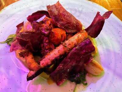 Terra Nova By Populi