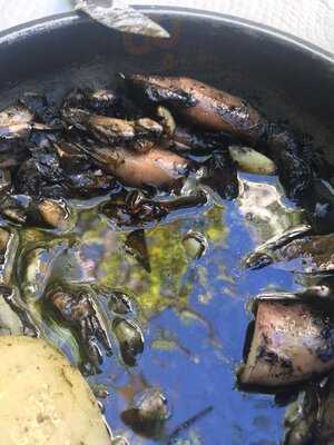 Amoreiras Ii - Gambelas