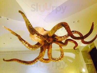 A Cevicheria By Chef Kiko