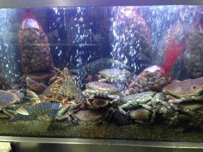 Pinoquio Breakfast Bar