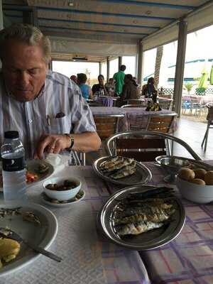 Flor Da Sardinha Assada