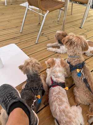 Snack Bar O Cantinho Do Fojo