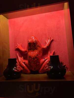 Red Frog Speakeasy Bar