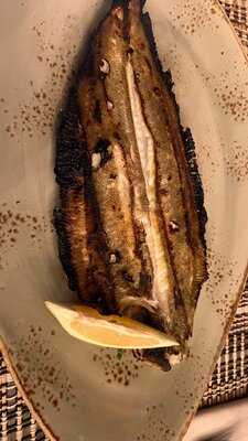 Delfina - Cantina Portuguesa