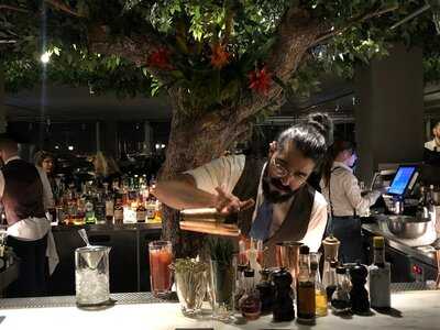 Seen By Olivier Lisboa