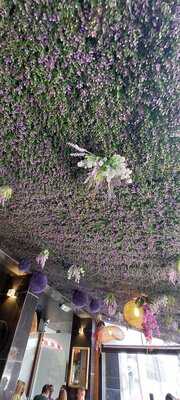 Dote Barata Salgueiro