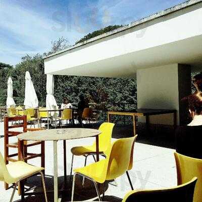 Casa De Chá De Serralves