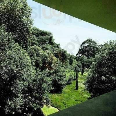 Casa De Chá De Serralves